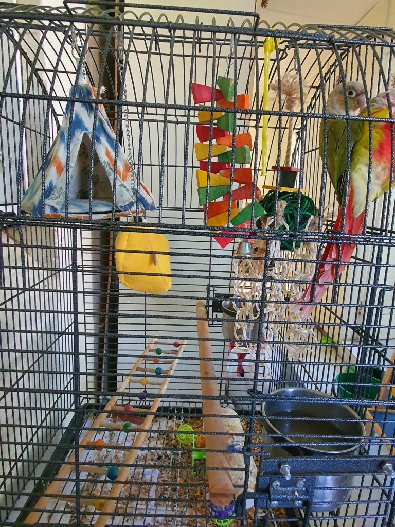 George and Willow accomodation